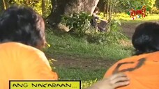 EPISODE 14 DA ADVENTURES OF PEDRO PENDUKO