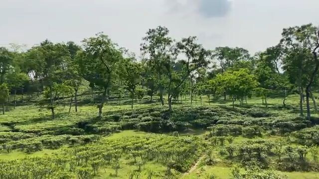 Beauty Of Bangladesh 1