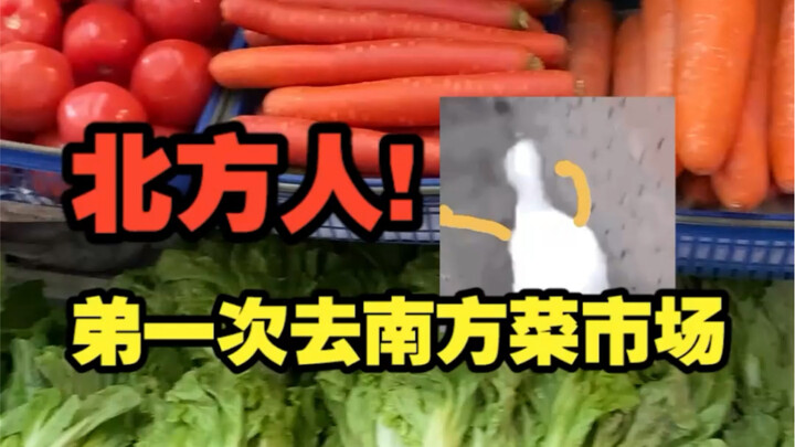 原来保姆级的南方菜场是真的，北方人哭了！