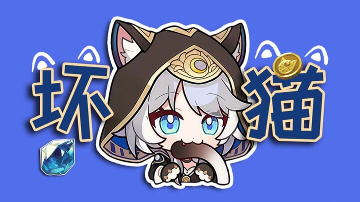 坏猫之歌？好猫之歌！！