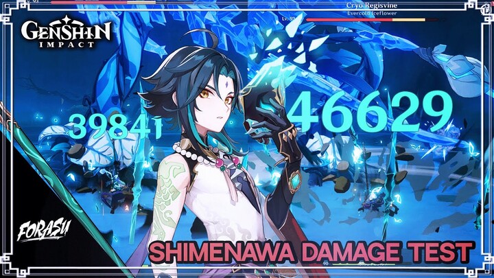 Shimenawa Damage Test On Xiao | 【Genshin Impact】