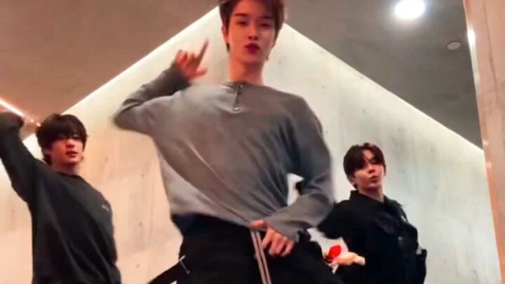 Shotaro Thành Sán Anton Cha Swalla