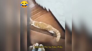 Chúng nó đang xâm chiếm trái đất rồi 😆