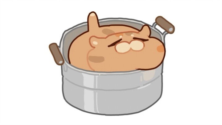 Bang-Dang’s Cat Bed Review