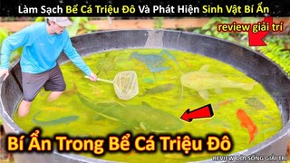 Phát Hiện Sinh Vật Bí Ẩn Khi Làm Sạch Bể Cá Triệu Đô Trong Nhà || Review Giải Trí Đời Sống