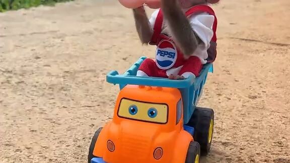 nice monkey