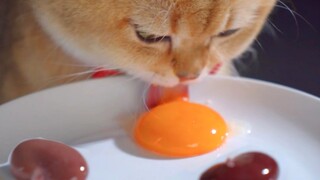 给姨姨们表演个溜溜球～