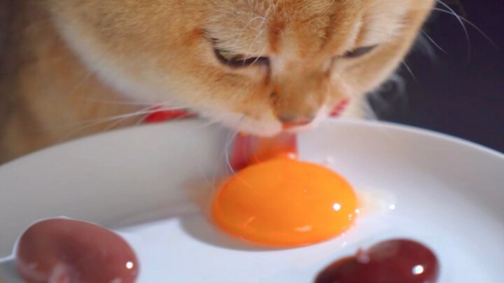 Biểu diễn yoyo cho các dì xem nhé～