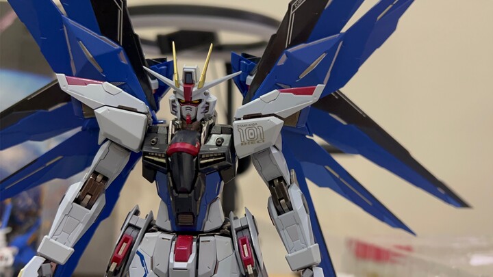〖Freedom Gundam〗Take out the new member and watch TV together