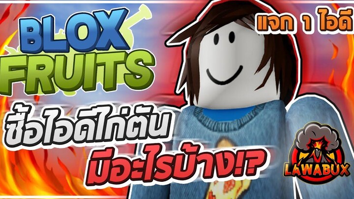 Roblox Blox Fruits ซื้อไอดีไก่ตันจาก Lawabux มาแจก! ในไอดีมีดาบมีผลอะไรบ้าง! (แจกฟรี)