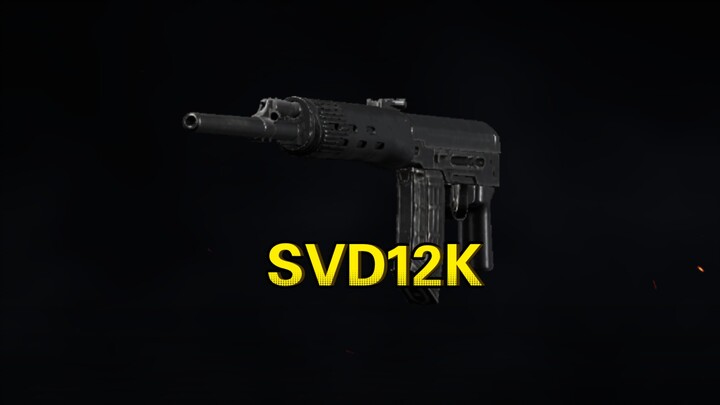 เอสวีดี12K