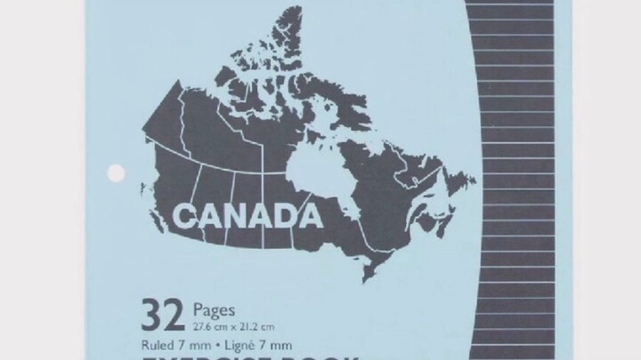 THE SCRIBBLER SAGA (Hilroy Through the Ages)