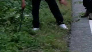 งูจงอางยาว 13 ฟุต/4 เมตร พบที่ชลบุรี