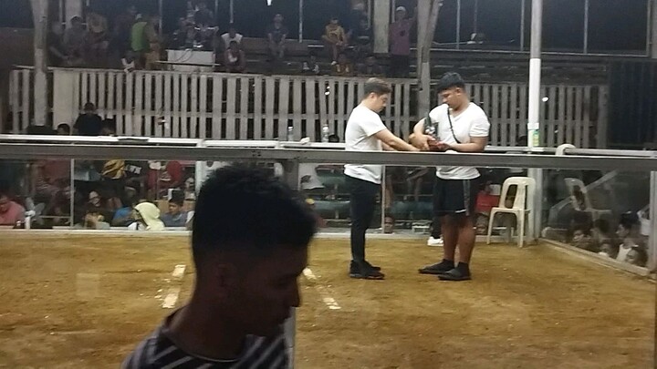 pila 2hets champion 🐓