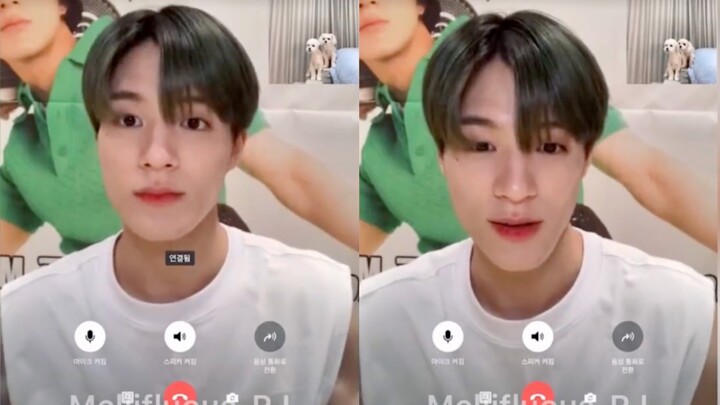 【Buổi ký tặng của Lý Đế Nỗ】🐶 Cuộc gặp gỡ bất ngờ của ba chú cún con? Đáng yêu muốn chết mất thôi!!!