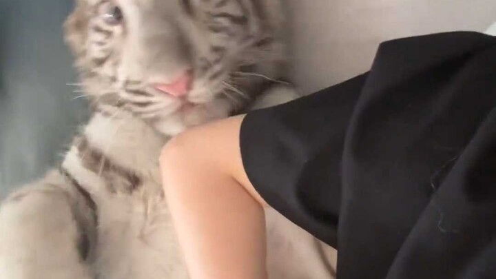 和妈妈一起午睡吧