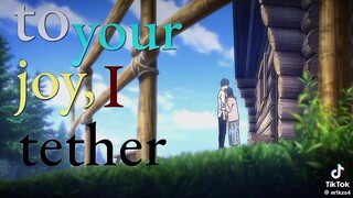 mikasa x eren lovers