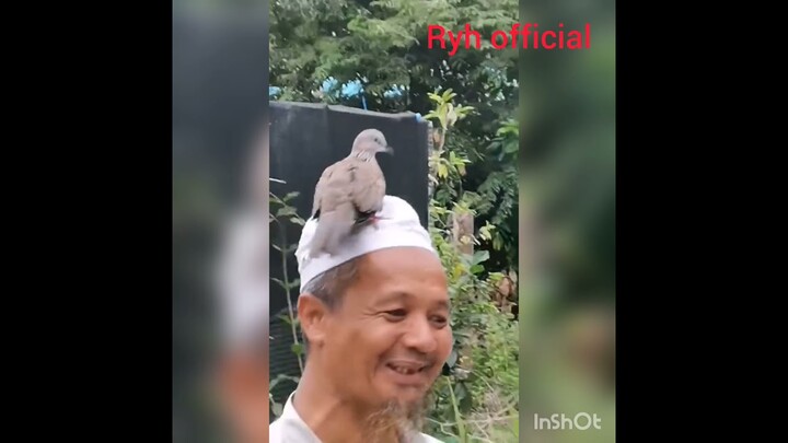 BINGUNG...,MAU KASIH JUDUL APA!😂😂😂