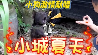 ⚡会唱歌的小狗⚡