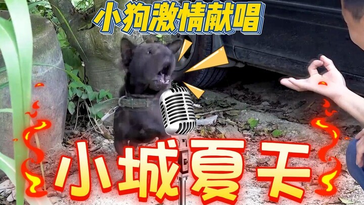 ⚡Singing Puppy⚡