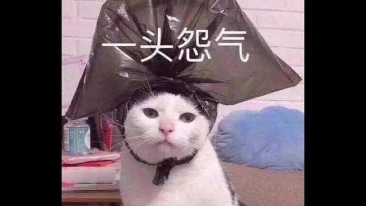 แรงอาฆาตจากการกวาดหิมะนั้นมากพอจะเลี้ยงดูเซี่ยเจี้ยนเซียนได้ถึงสิบคน