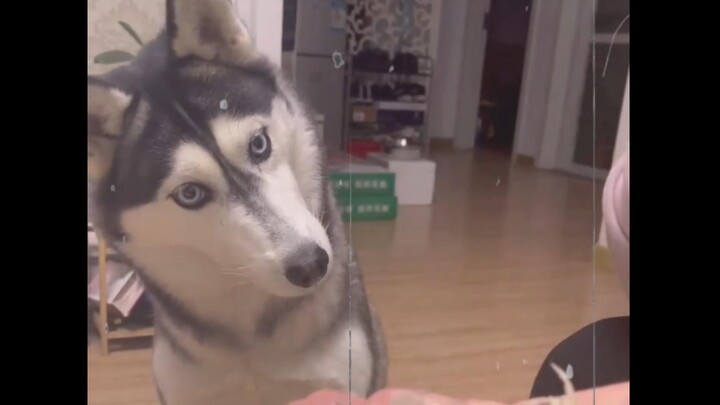 أشعر أنه سيشير إليّ.