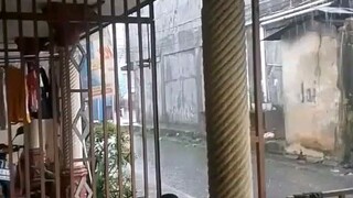 menunggu hujan reda