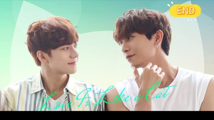 รักนี้ หมาหรือแมว EP.12 END