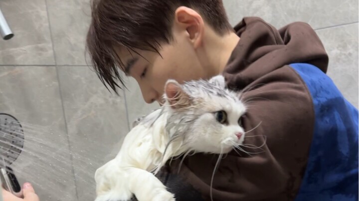 What's it like to hire a male model to wash your cat in Hangzhou?