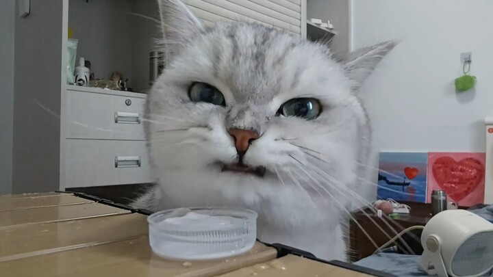 هريرة