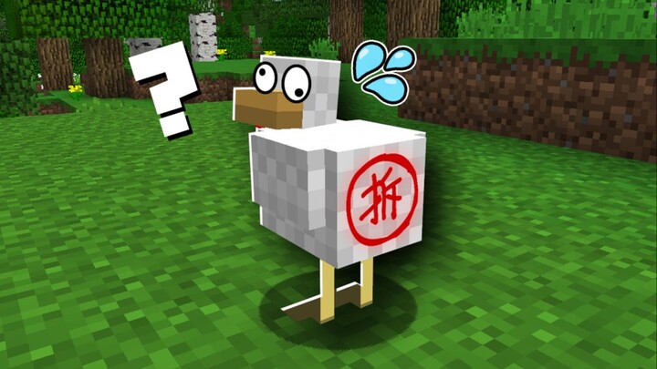 Player: Who the heck put this up?! Don’t even say it—looks pretty good, awa!