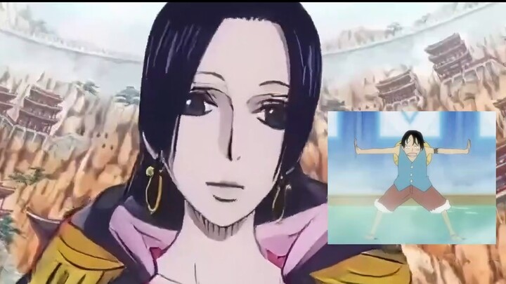Jawab aku-Permaisuri tidak tahu Luffy adalah generasi kedua, aku sangat mencintai suamiku