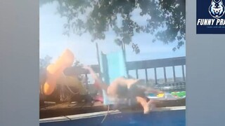 Cười mỗi ngày cùng tôi ! #videohaihuoc