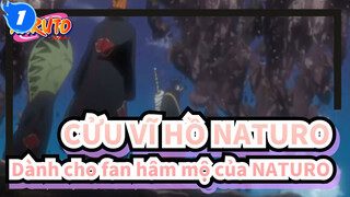 CỬU VĨ HỒ NATURO
Dành cho fan hâm mộ của NATURO_1
