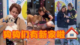 狗狗与主人的双向奔赴——领养时双方洋溢着的幸福笑容