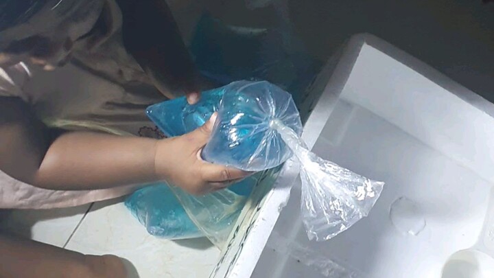 Fish Delivery