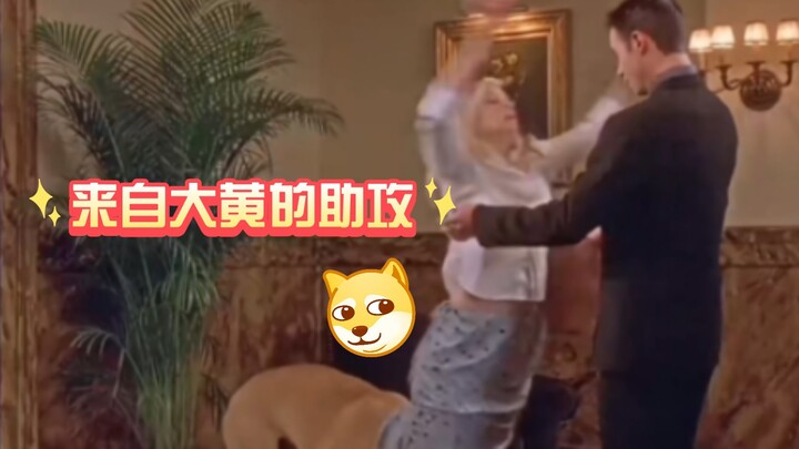 Wah, Dahuang jadi perantara cinta!