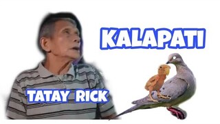 TATAY RICK: KALAPATI