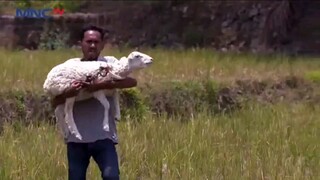 Suparman Reborn 3 Eps 14