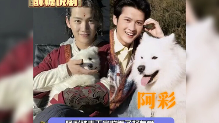 After finishing filming, Di Lan Jue adopted A Cai! So heartwarming! Now she's grown from a little mi