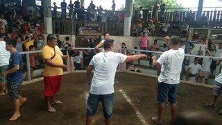 Hack Fight, Guinobatan Sport Arena, Alimbuyugin Vs Henny