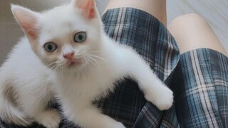 肉 肉 的才是极好的 辣 妹
