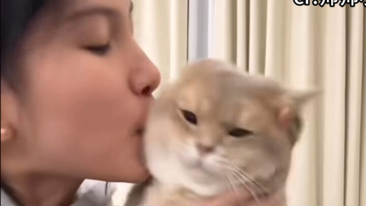 I finally get why the rich boss wants to have the heroine in his bones… Only cat owners can truly un