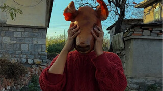 Ox head and pig face!? Weird Stories from Ah Niu's Grocery Store!