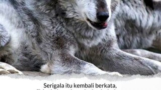 Imam Ahmad di Dalam Kitab nya.....