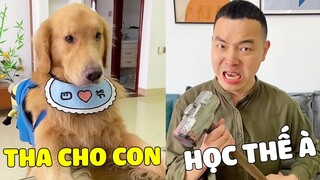 Tứ Mao | Khi Tứ Mao Đi Học Được 0 Điểm Và Hậu Quả Khi Bố Biết Sự Thật 🤣 Gâu Đần Official