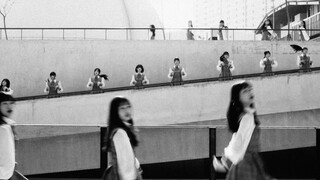 Belalang Yang Membangkang (Ama Nojaku Batta)/JKT48 TRAINEE (Teaser/2024)