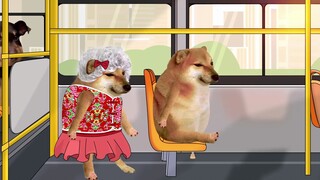 Cheems, give me your seat