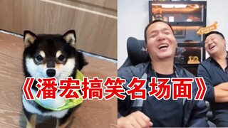 Pan Hong's hilarious classic moments compilation!!!