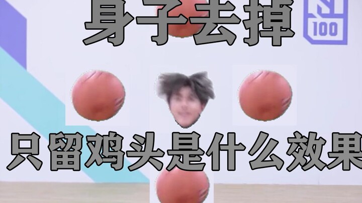 Ayam, kamu terlalu cantik, tapi hanya ada kepala ayam dan bola ayam saja.